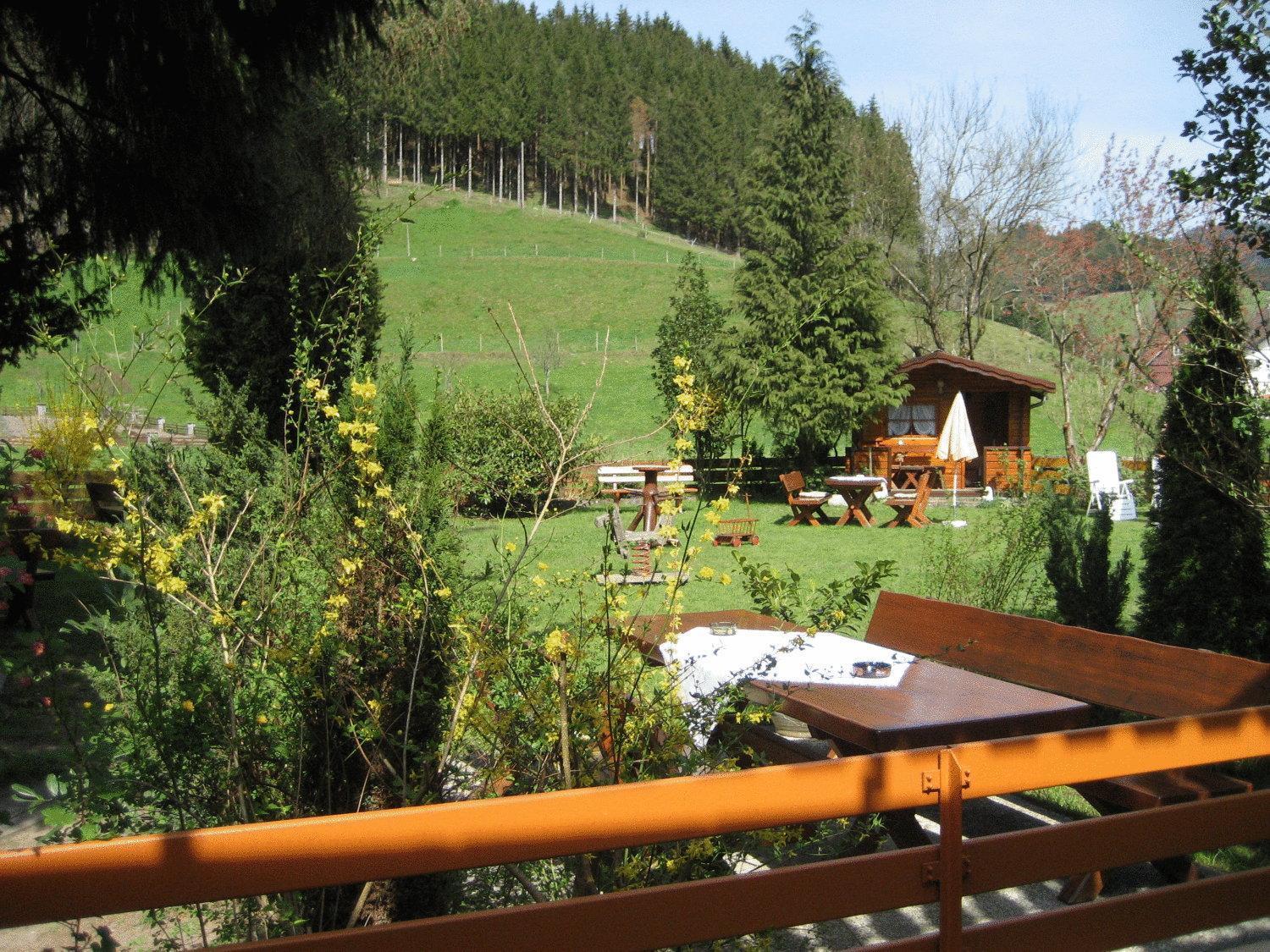 Hotel Restaurant Albans Sonne Bad Rippoldsau-Schapbach Eksteriør bilde